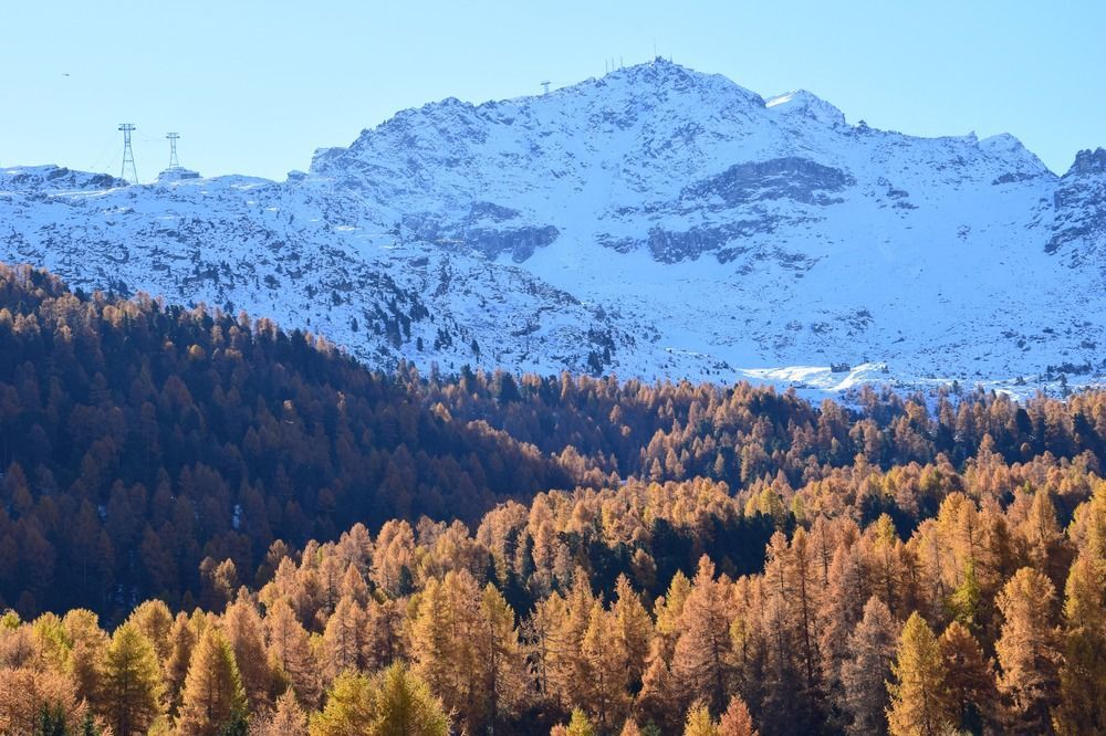 Hotel Salastrains St. Moritz Kültér fotó